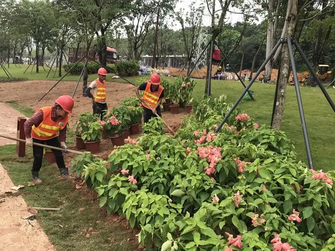 園林景觀及綠化工程